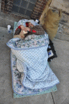 Homeless on the streets