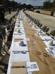 500plates1